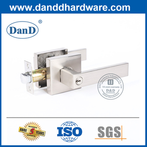 Alliage carré Alliage Extérieur Porte Cylindrical LockSeReChoton-DDLK075